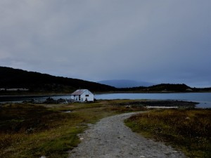 DSCN3588 
