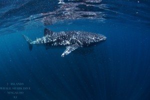 3 Islands (190 of 229)