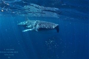 3 Islands (206 of 229)