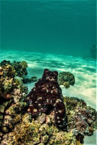 3 Islands (46 of 229)