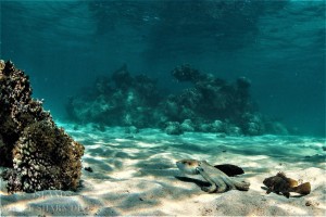 3 Islands (48 of 229)