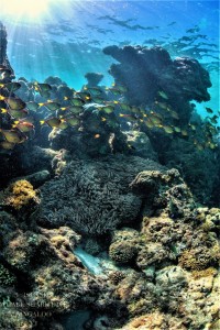 3 Islands (67 of 229)