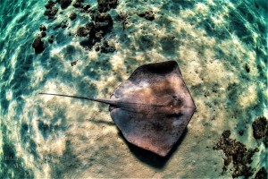 3 Islands (70 of 229)