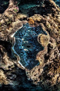 3 Islands (77 of 229)