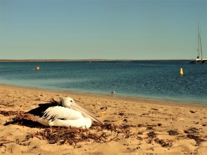 DSCN8276 
