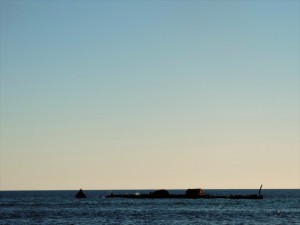 DSCN8353 