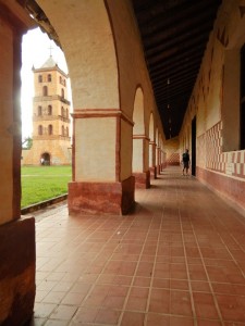 DSCN3169