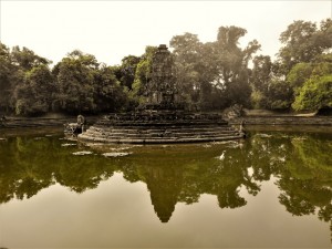 DSCN5661