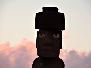 DSCN7511