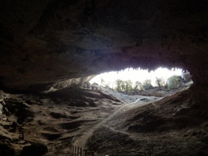 DSCN3712