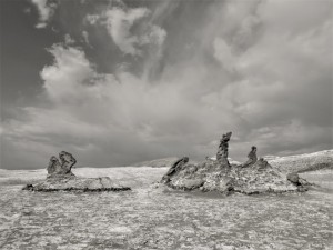 DSCN3825