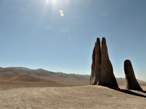 DSCN6923 