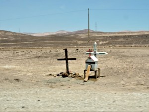 DSCN7064 