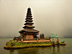DSCN5919