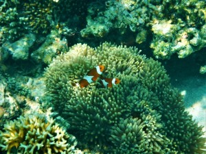DSCN6013