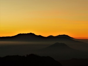 DSCN9561