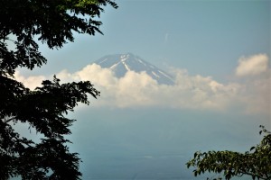 DSC07831