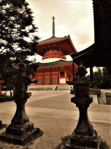 DSCN1502