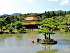 DSCN1749