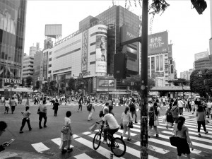 DSCN6506