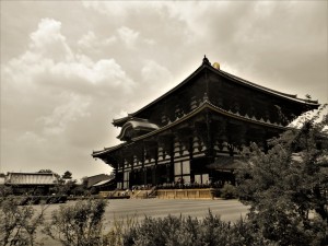 DSCN6775