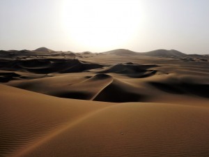 DSCN2447   