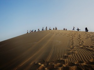 DSCN2467     