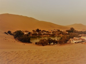 DSCN2494     