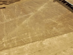 DSCN4986   