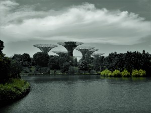 DSCN5753
