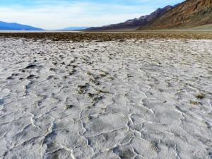DSCN3063 (2)