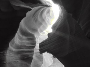 DSCN4029