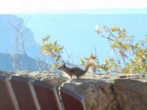 DSCN0980