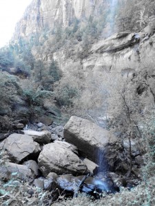 DSCN4174