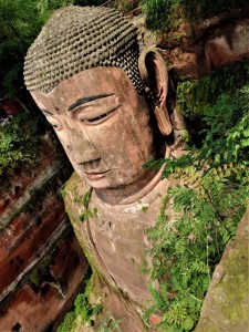 DSCN0518 