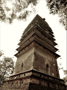DSCN0554 