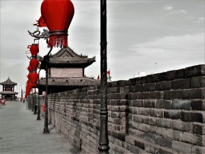 DSCN0718