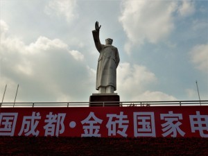 DSCN6229