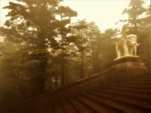 DSCN6308