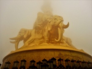 DSCN6325
