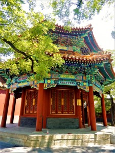 DSCN6380