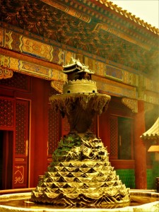 DSCN6386