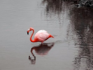 DSCN4470