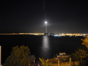DSCN2278