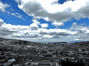 DSCN1118         