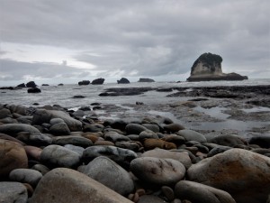 DSCN4556 