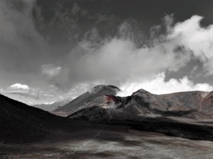 DSCN4741