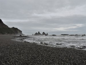 DSCN7696