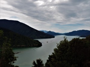 DSCN7812