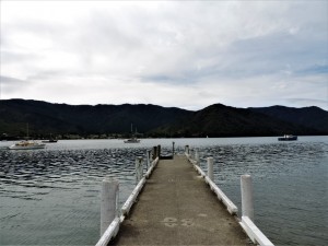 DSCN7818